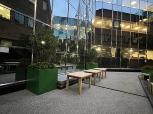 Resin bound desert grey path installed using SureSet Resin